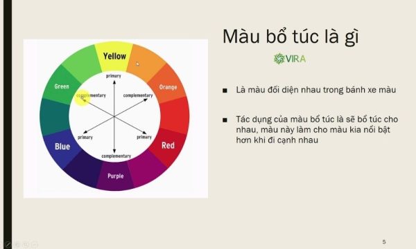 Complementary (Phối màu bổ túc trực tiếp)