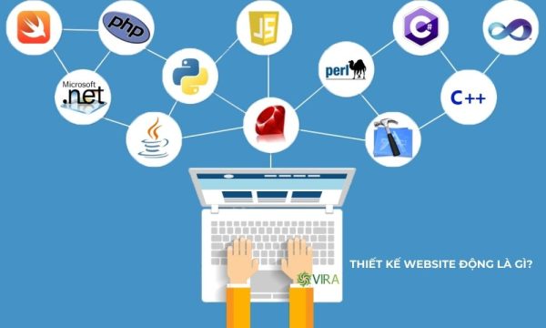 Thiết kế website động là gì?